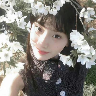 在西伯利亚森林中