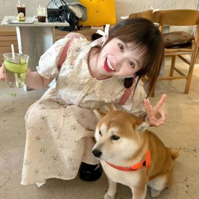 五香宫的猫